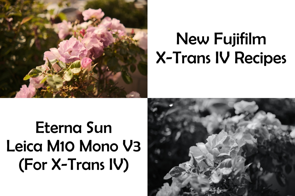 New Eterna Sun & Leica M10 Mono X-Trans IV – One Camera One Lens Photography