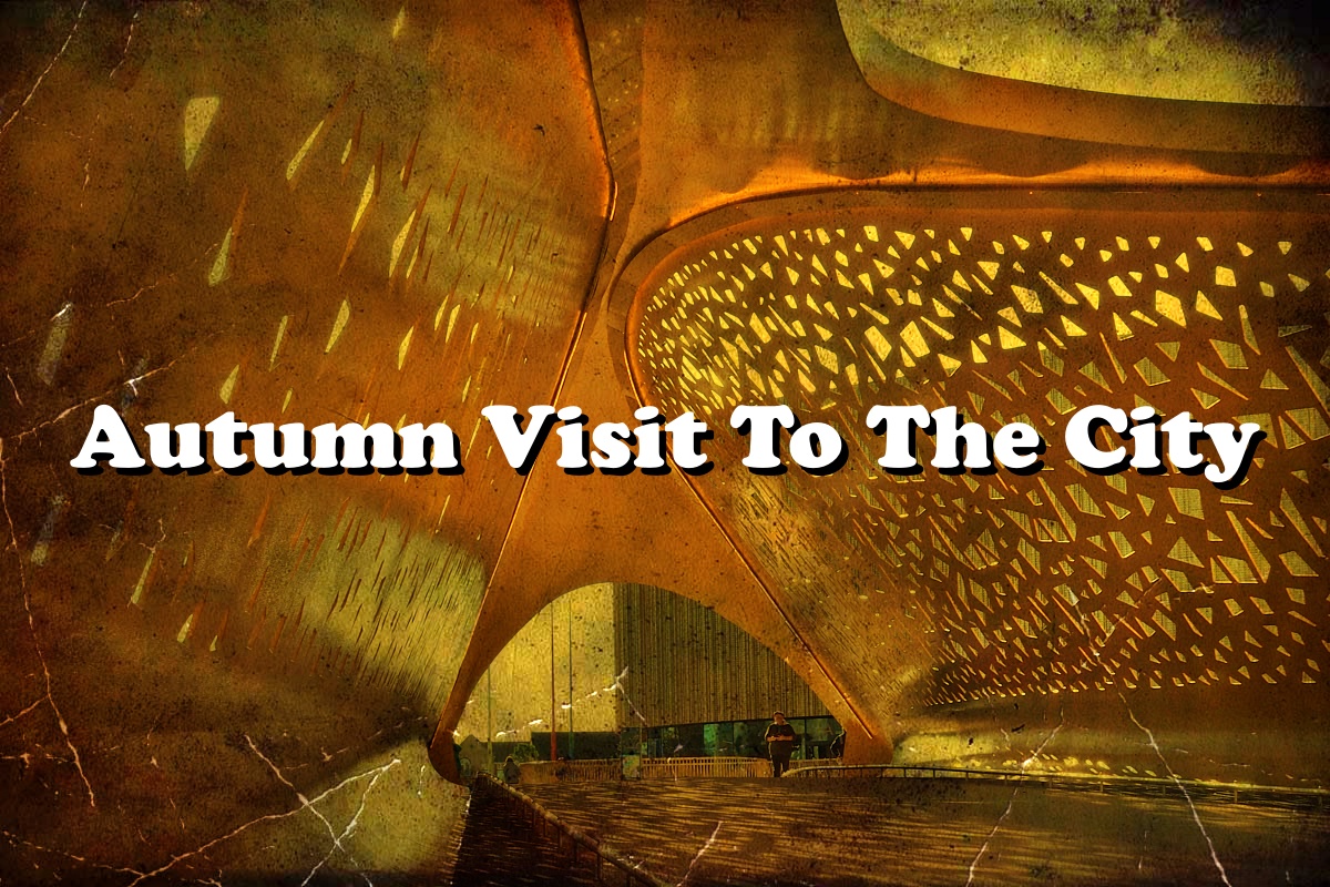 Autumn Visit To The City – One Camera One Lens Photography
