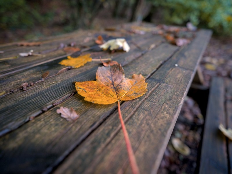 Photography: It’s Us Against Them… Or Is&nbsp;It?