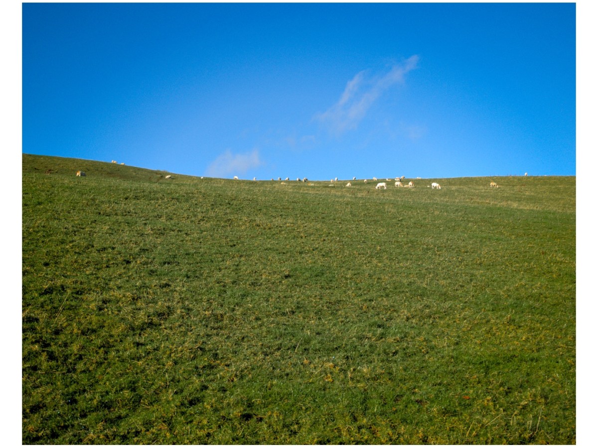 Are You Using Your Zoom Lens In The Wrong&nbsp;Way?