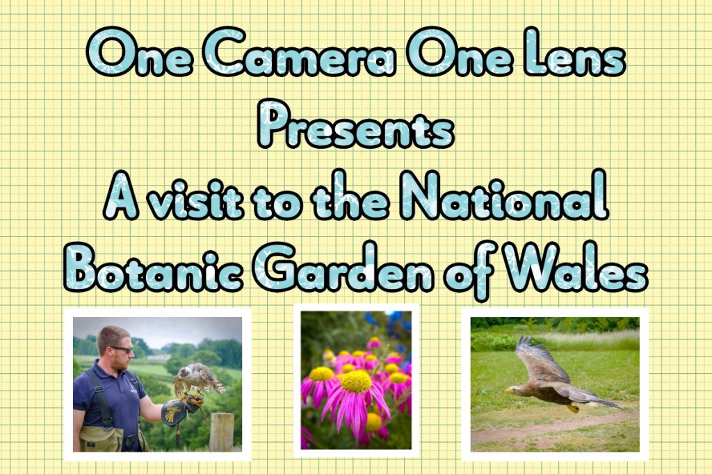 A visit to the National Botanic Garden of Wales – One Camera One Lens ...