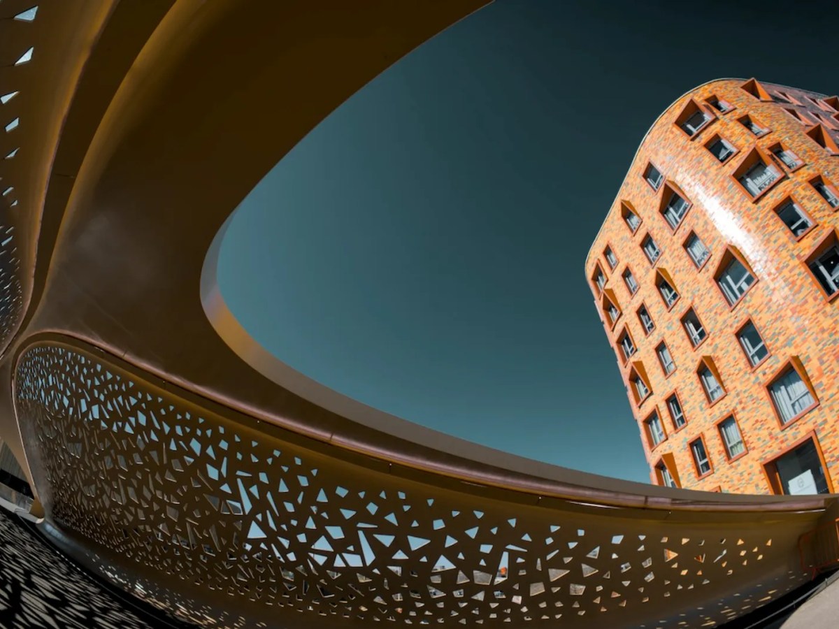 Can any camera be a “Professional” camera?