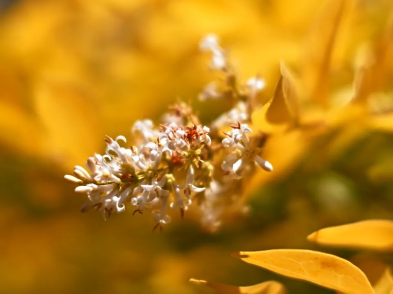 A Visit To The Local Park – Using The New MGA Everyday Chrome Warm&nbsp;Recipe