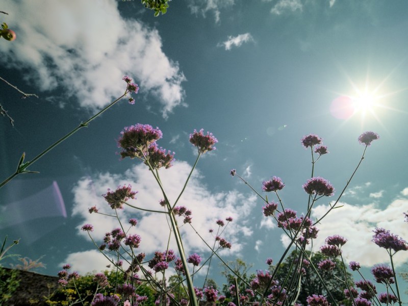 Why Your Edited Images Look Different on Other&nbsp;Screens