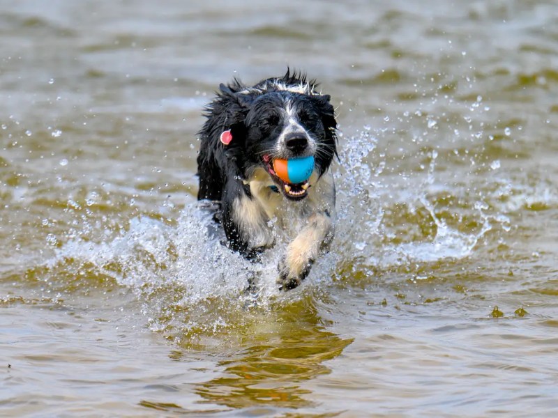 A Day From 14mm to 500mm At Kenfig&nbsp;Pool