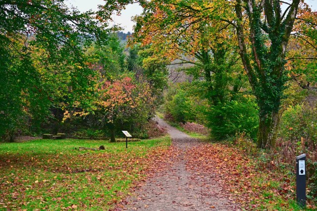 afan-argoed-kodachrome-2025-15