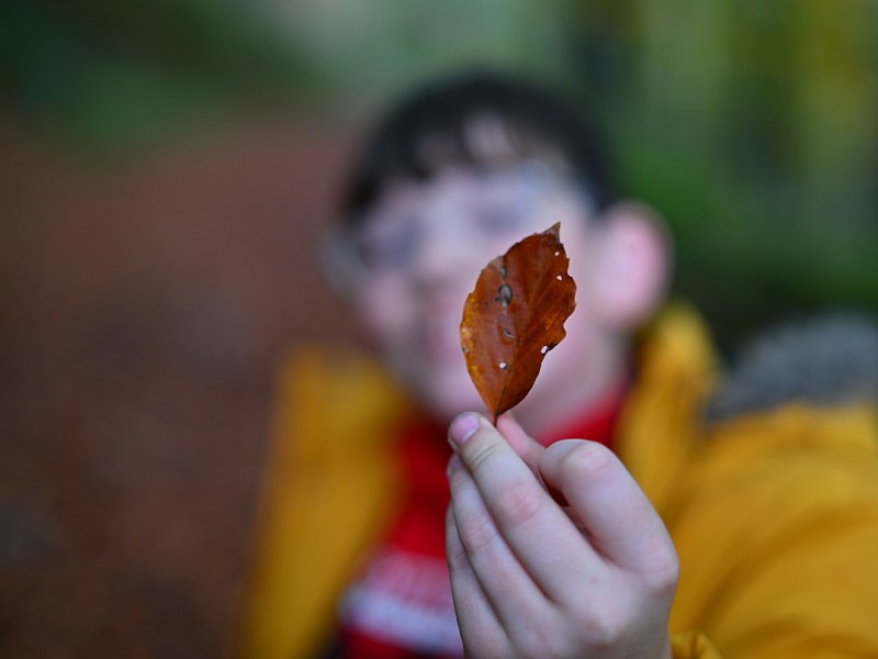 A Walk Up Drummau&nbsp;Mountain