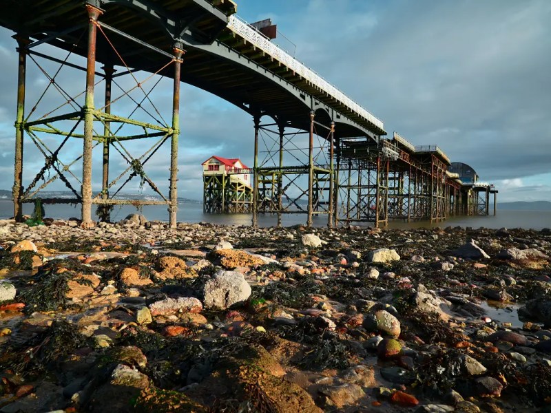 Unlock the Power of Your Sensor: Why In-Camera Crop Modes are Perfect for Everyday&nbsp;Photography