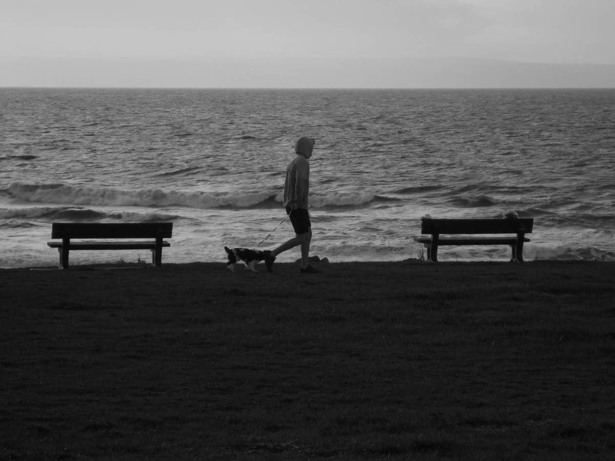 10 Frames In Black And White&nbsp;(CCD)