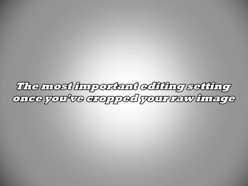 The most important editing setting once you’ve cropped your raw&nbsp;image