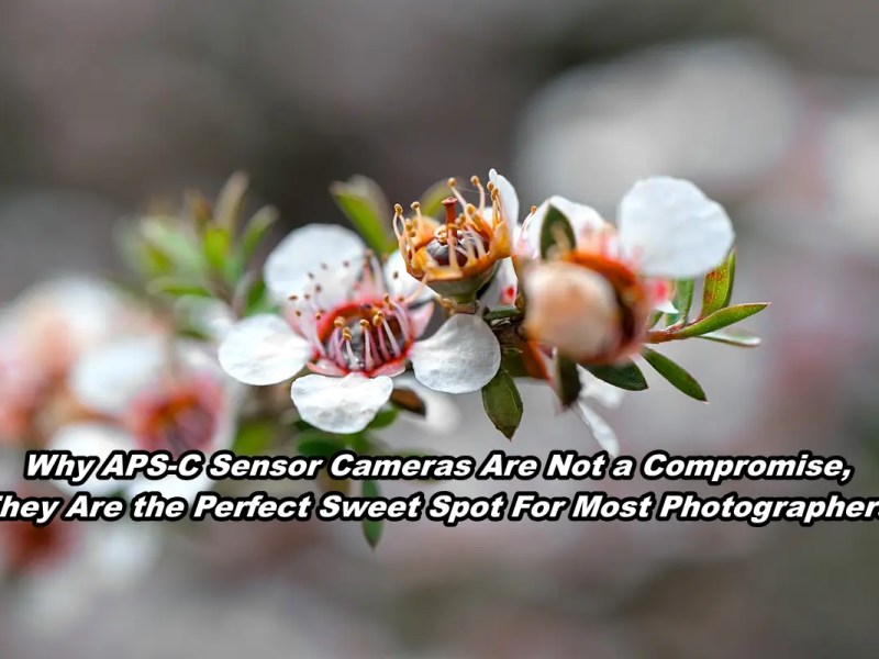 Why APS-C Sensor Cameras Are Not a Compromise, They Are the Perfect Sweet Spot For Most&nbsp;Photographers