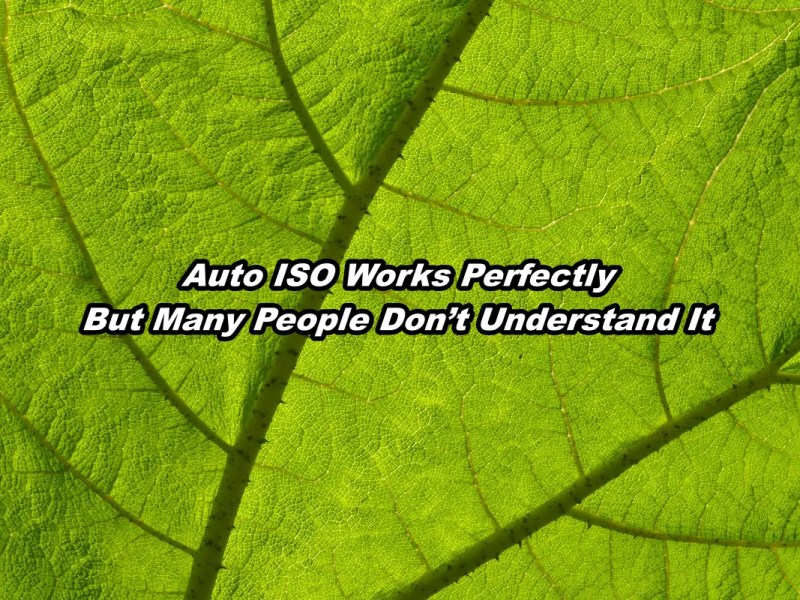 Auto ISO Works Perfectly, But Many People Don’t Understand&nbsp;It
