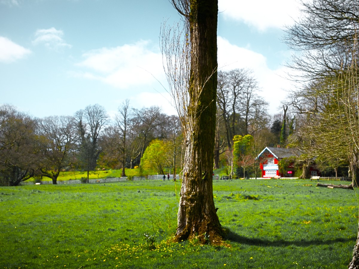 Framed Between Two&nbsp;Trees