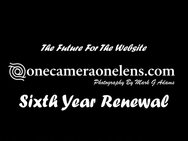 Sixth Year Renewal Of The Website – Future&nbsp;Changes