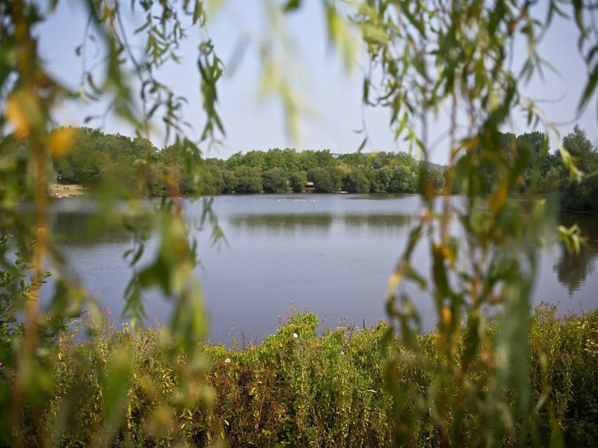 Shutter Therapy – A Walk Around Fendrod Lake And A Few&nbsp;Bees