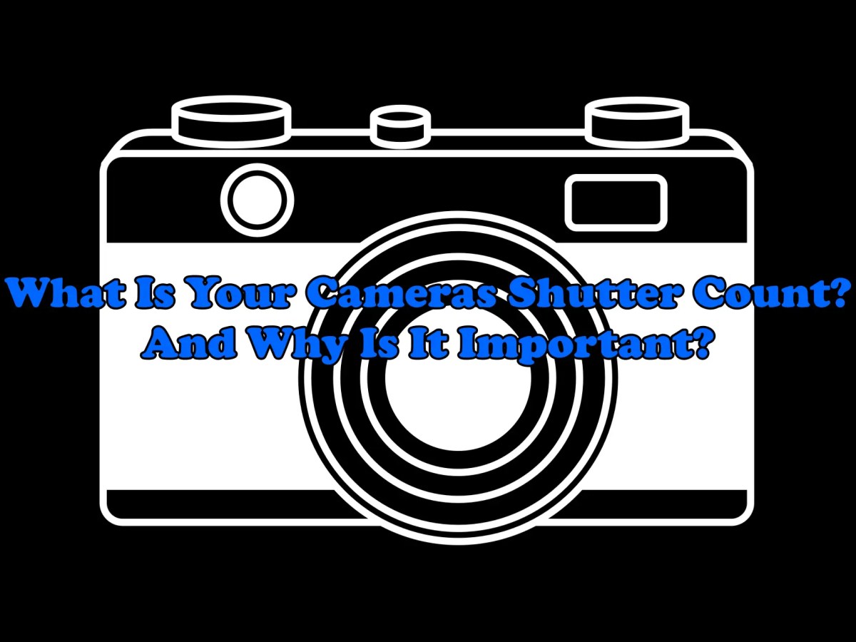 What Is Your Cameras Shutter Count? And Why Is It&nbsp;Important?